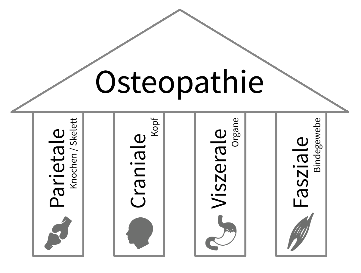 Vier Säulen der Osteopathie